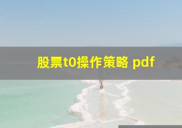 股票t0操作策略 pdf